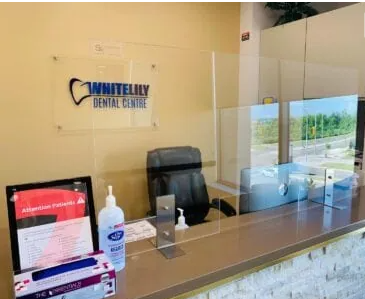 How to Choose the Right Dentist Near Me in Oakville for Your Family