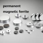magnet magnet Profile Picture