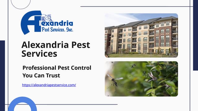 Alexandria Pest Services-Professional Pest Control You Can Trust.pptx