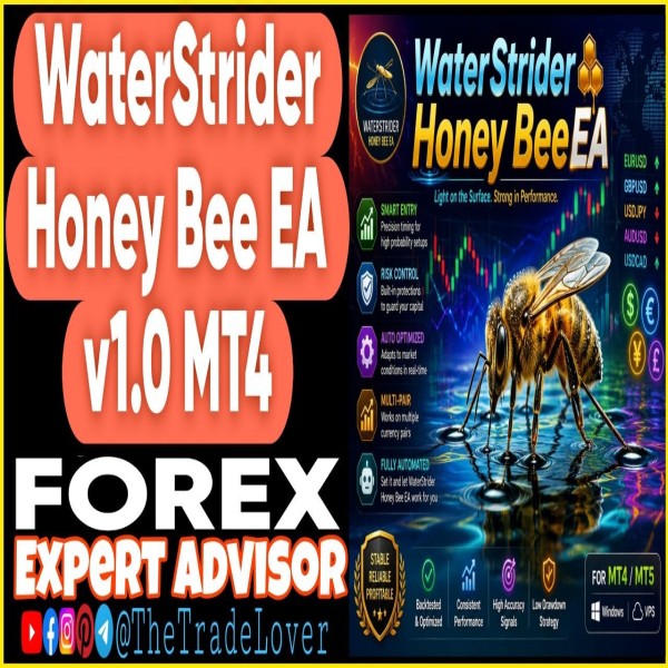 Waterstrider Honey Bee EA v1.0 MT4 (Works on Build 1471) | Forex Robot | MT4 Expert Advisor - The Trade Lovers