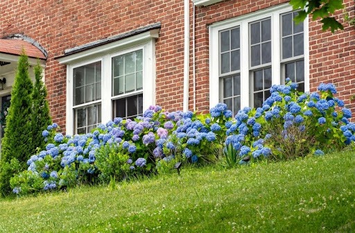 9 Things to Know About Sash Windows in Northern Ireland