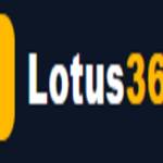 Lotus India profile picture