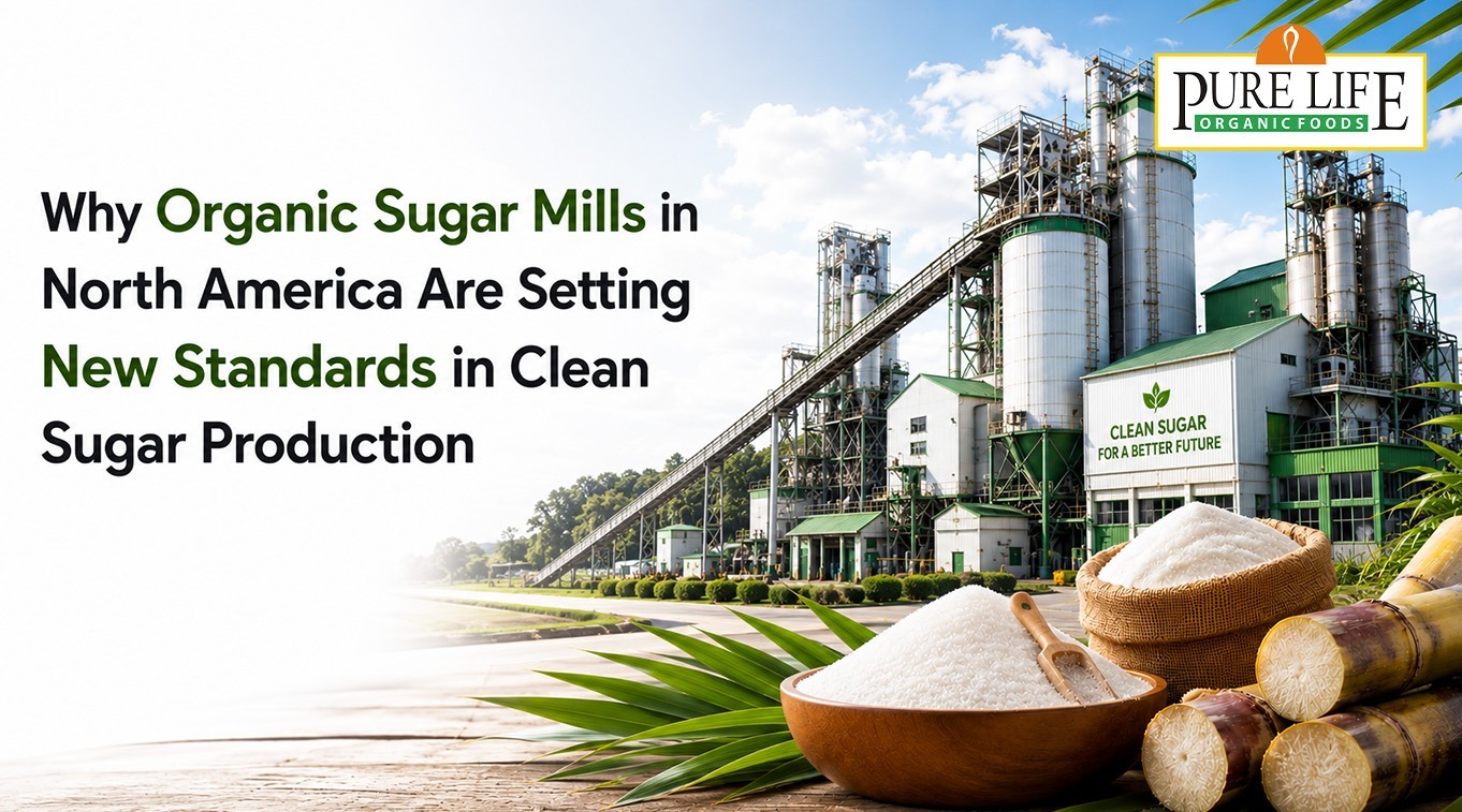 Why Organic Sugar Mills in North America Are Setting New Standards in Clean Sugar Production