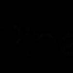 Pitch Pine Media Profile Picture