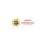 Pandit Krihsna Sai Profile Picture