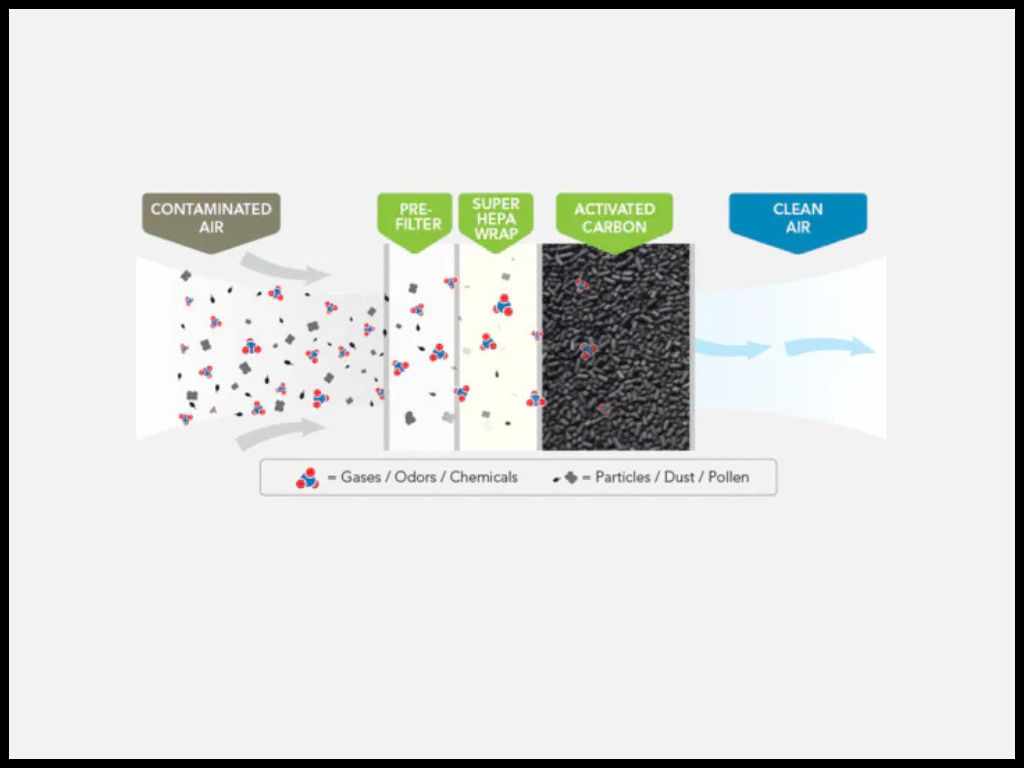 Air Purifier to Kill Germs: What Works in 2026?