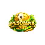PESOMAX Profile Picture
