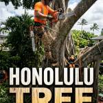 tree expert profile picture