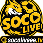 socoliveee tv Profile Picture