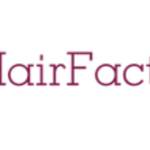 Hair Factory Newton Profile Picture