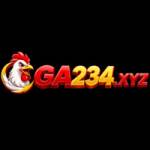 ga234 xyz Profile Picture