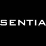 essentials hoodie Profile Picture