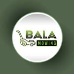 bala mowing Profile Picture